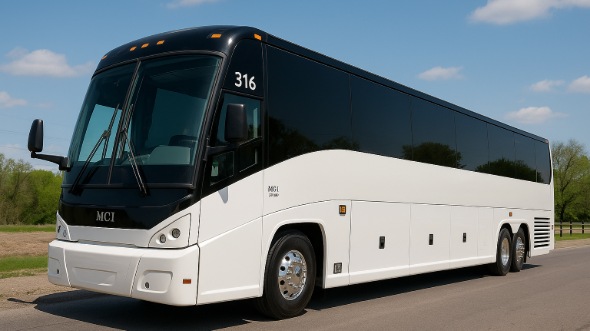 providence birthday party bus rentals